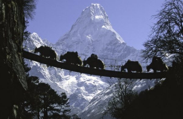 Visit Nepal