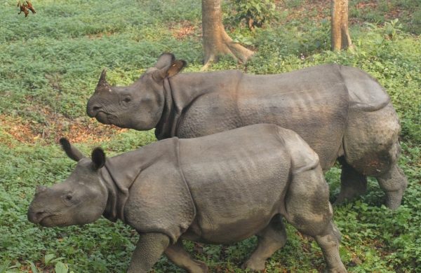 Visit Nepal