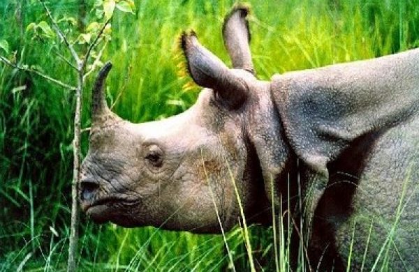 Visit Nepal